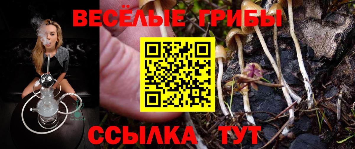 Псилоцибиновые грибы MAGIC MUSHROOMS Приморско-Ахтарск