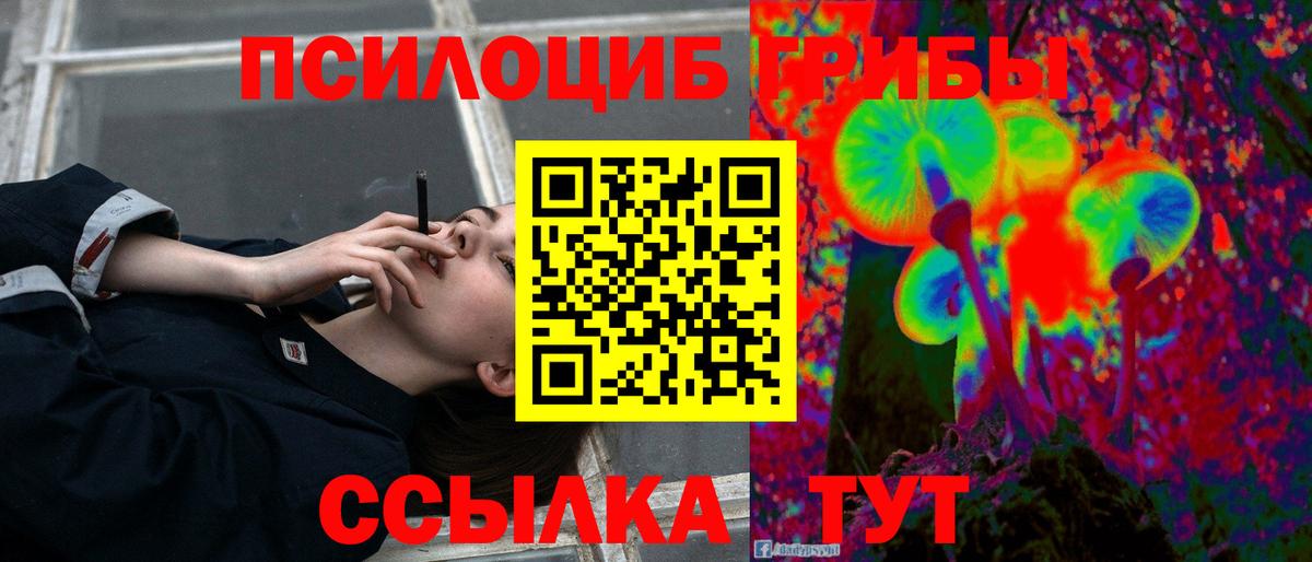 наркота  Псилоцибиновые грибы мухоморы  Вход с VPN  Приморско-Ахтарск 